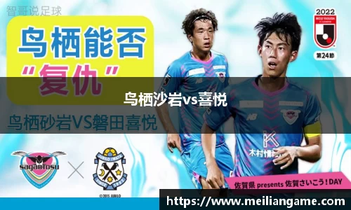 鸟栖沙岩vs喜悦